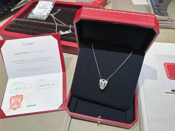Cartier Necklace | Panthère